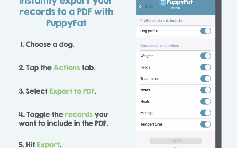 Export your records to PDF
